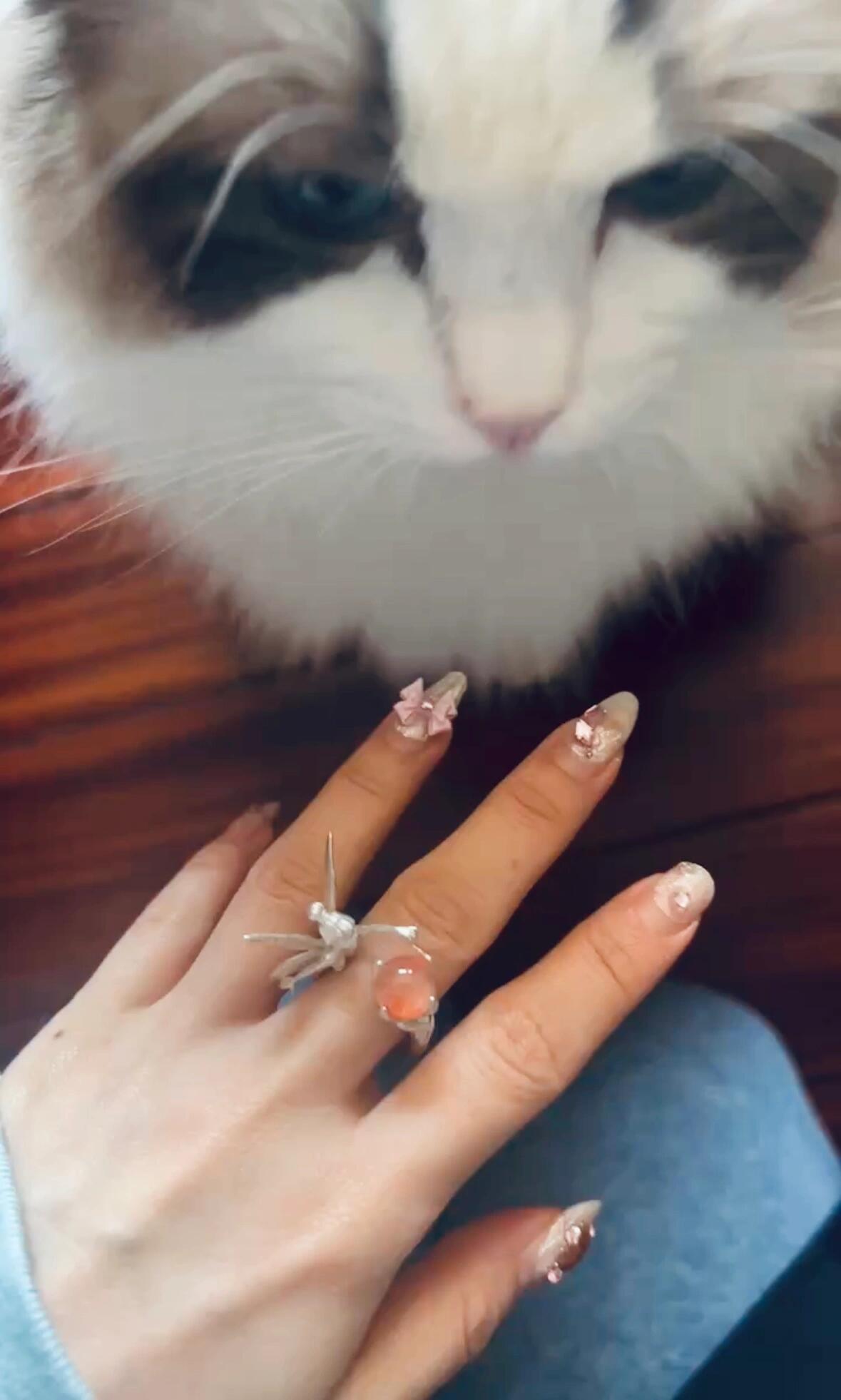 Fairy ring with sunstone or garden quartz